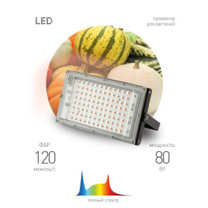 Светильник для растений  FITO-80W-Ra90-LED-Y