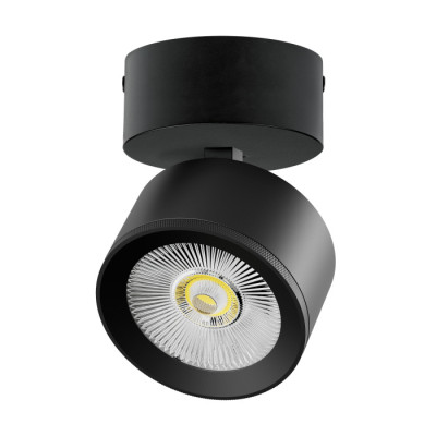 Спот Alta Pro A5547SO