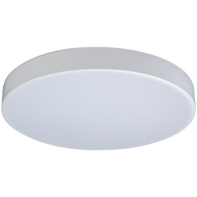 Потолочный светильник Axel 10002/24 White